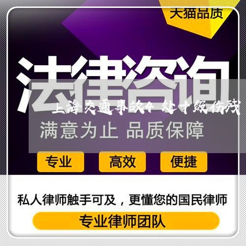 上海交通事故4处十级伤残/2023031971503 上海交通事故4处十级伤残/2023031971503