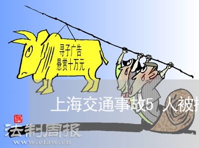 上海交通事故5人被撞/2023021318261
