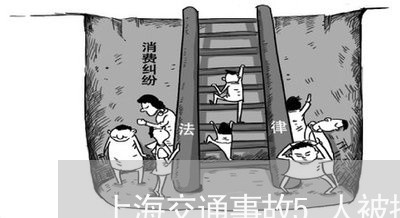 上海交通事故5人被撞/2023021370603