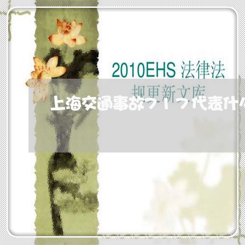 上海交通事故717代表什么/2023040140261