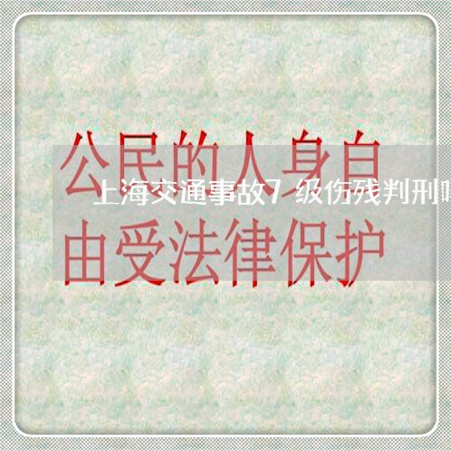 上海交通事故7级伤残判刑吗/2023040181783