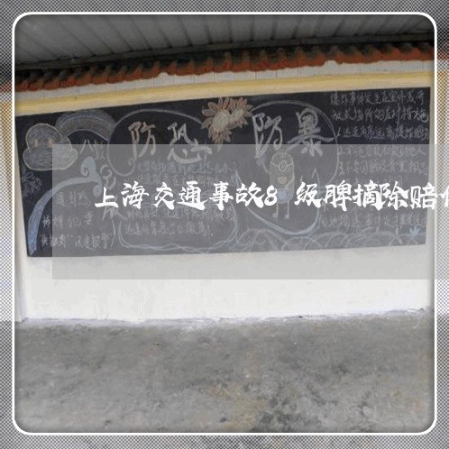 上海交通事故8级脾摘除赔偿/2023040105835