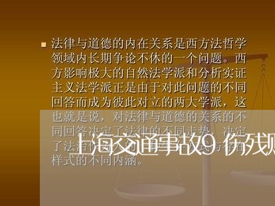 上海交通事故9伤残赔偿标准/2023040162815