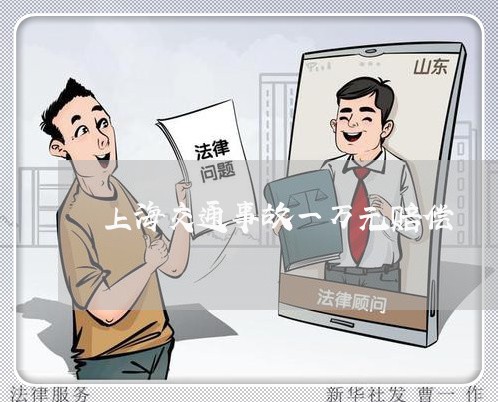 上海交通事故一万元赔偿/2023030115149