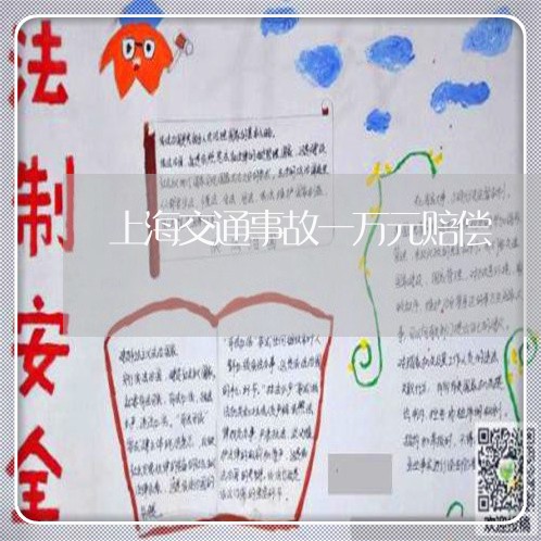 上海交通事故一万元赔偿/2023030126048