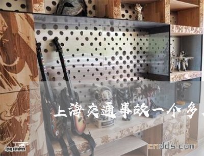上海交通事故一个多月没定责/2023040189674 上海交通事故一个多月没定责/2023040189674