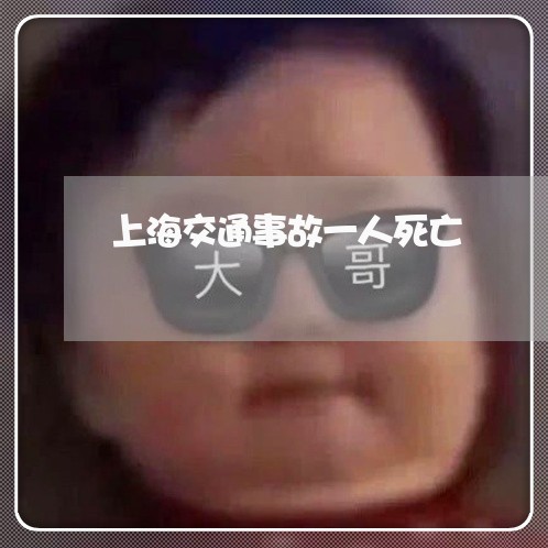 上海交通事故一人死亡/2023021374616 上海交通事故一人死亡/2023021374616