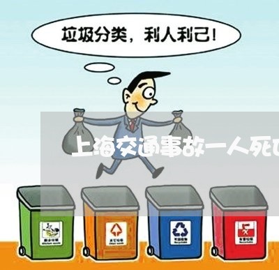 上海交通事故一人死亡没有钱/2023040162782 上海交通事故一人死亡没有钱/2023040162782