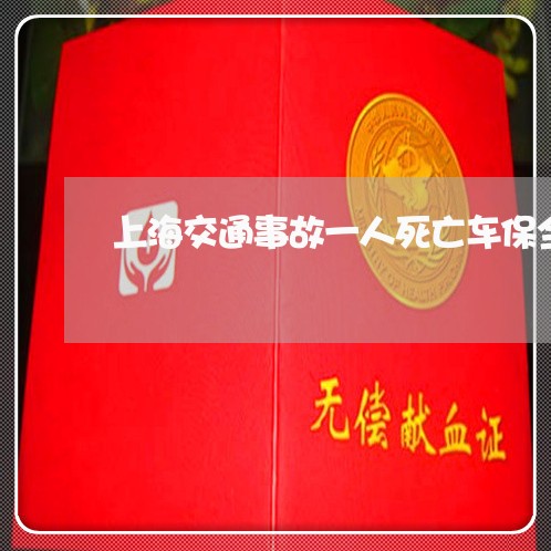 上海交通事故一人死亡车保全/2023040128268 上海交通事故一人死亡车保全/2023040128268