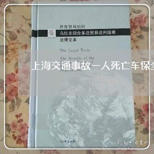 上海交通事故一人死亡车保全/2023041396279