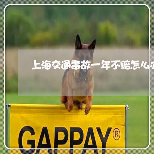 上海交通事故一年不赔怎么办/2023040140685 上海交通事故一年不赔怎么办/2023040140685