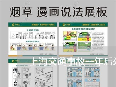 上海交通事故一年后死亡/2023022860930 上海交通事故一年后死亡/2023022860930
