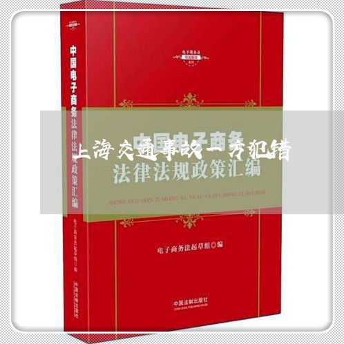 上海交通事故一方犯错/2023021346461 上海交通事故一方犯错/2023021346461