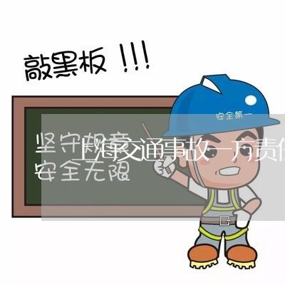 上海交通事故一方责任怎么办/2023040195025 上海交通事故一方责任怎么办/2023040195025