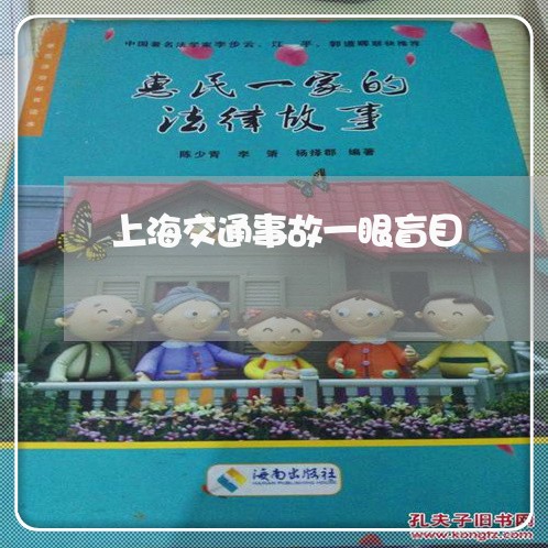 上海交通事故一眼盲目/2023021379371