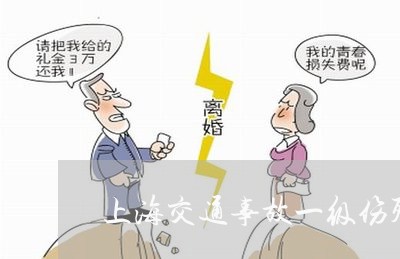 上海交通事故一级伤残量刑/2023031973693 上海交通事故一级伤残量刑/2023031973693