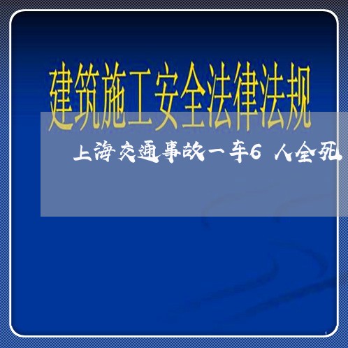 上海交通事故一车6人全死/2023031981946