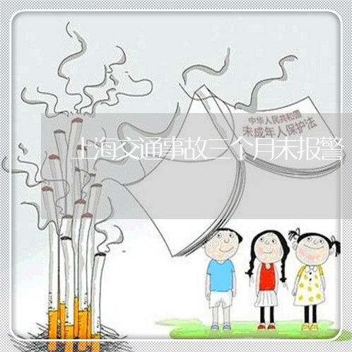 上海交通事故三个月未报警/2023031970426 上海交通事故三个月未报警/2023031970426