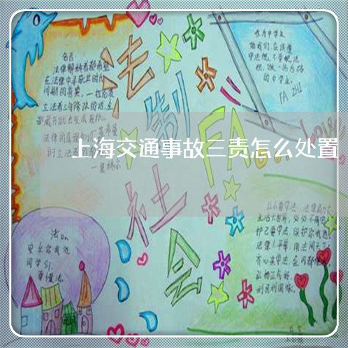 上海交通事故三责怎么处置/2023031930389 上海交通事故三责怎么处置/2023031930389