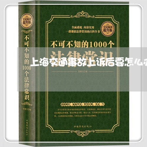 上海交通事故上诉后要怎么办/2023040196137 上海交通事故上诉后要怎么办/2023040196137