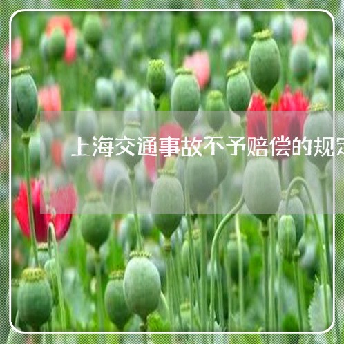 上海交通事故不予赔偿的规定/2023041301794