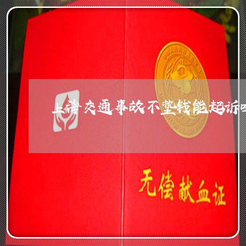 上海交通事故不垫钱能起诉吗/2023040105160