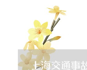 上海交通事故不结案能拖多久/2023040128261