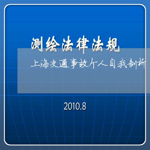 上海交通事故个人自我剖析/2023031949360 上海交通事故个人自我剖析/2023031949360