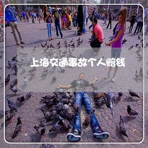上海交通事故个人赔钱/2023021349383 上海交通事故个人赔钱/2023021349383