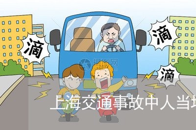 上海交通事故中人当场死亡/2023032074893