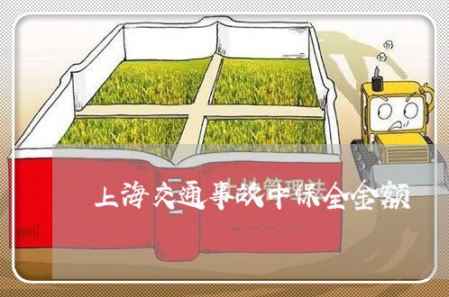 上海交通事故中保全金额/2023030127361 上海交通事故中保全金额/2023030127361