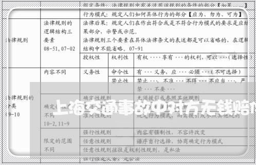 上海交通事故中对方无钱赔偿/2023040194947 上海交通事故中对方无钱赔偿/2023040194947