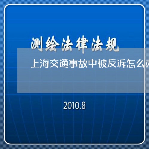 上海交通事故中被反诉怎么办/2023040143706 上海交通事故中被反诉怎么办/2023040143706