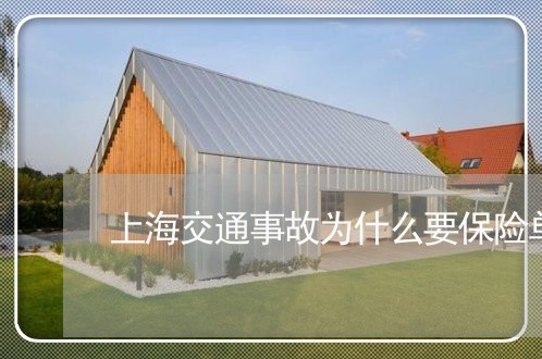 上海交通事故为什么要保险单/2023040106948