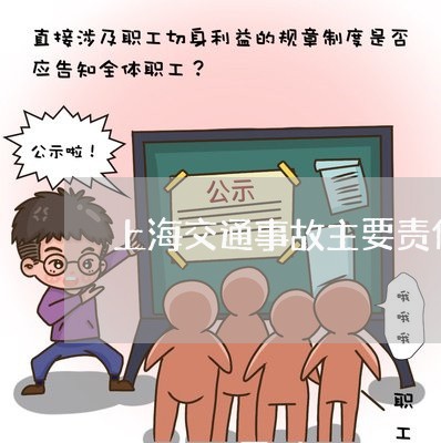 上海交通事故主要责任/2023021302605 上海交通事故主要责任/2023021302605