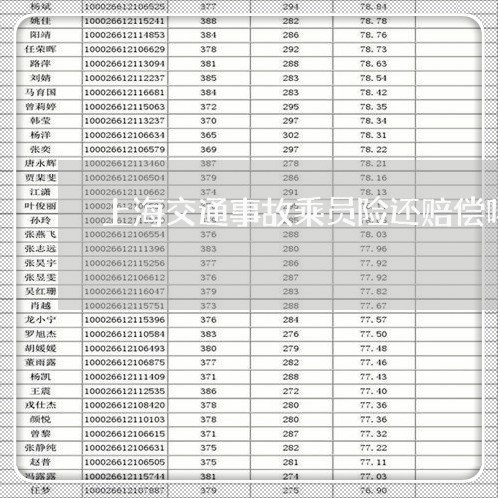 上海交通事故乘员险还赔偿吗/2023040151281