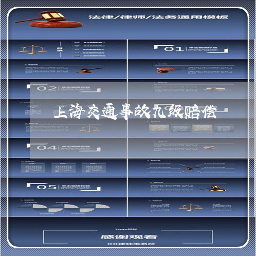 上海交通事故九级赔偿/2023021317593 上海交通事故九级赔偿/2023021317593
