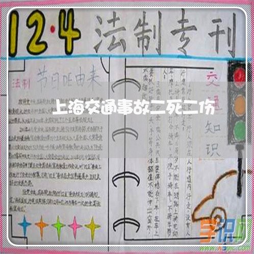 上海交通事故二死二伤/2023021337159 上海交通事故二死二伤/2023021337159