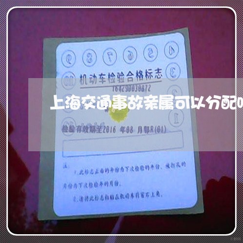 上海交通事故亲属可以分配吗/2023040119170