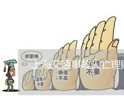 上海交通事故人亡理赔/2023021348250
