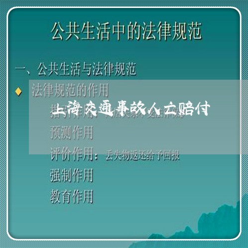 上海交通事故人亡赔付/2023021360682