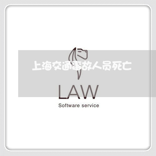 上海交通事故人员死亡/2023021337169 上海交通事故人员死亡/2023021337169