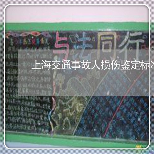 上海交通事故人损伤鉴定标准/2023040123727