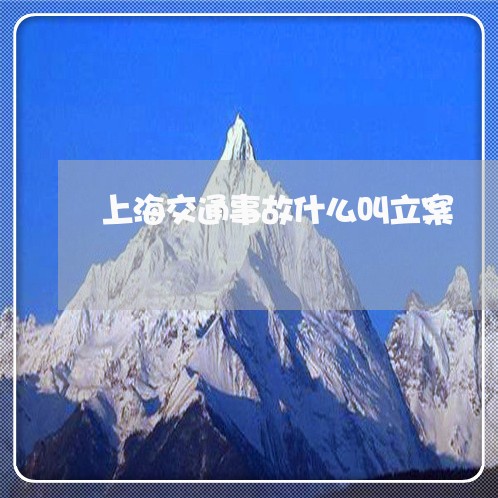 上海交通事故什么叫立案/2023030147272