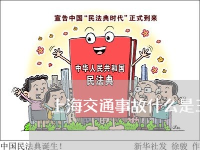 上海交通事故什么是三七鉴定/2023040106926