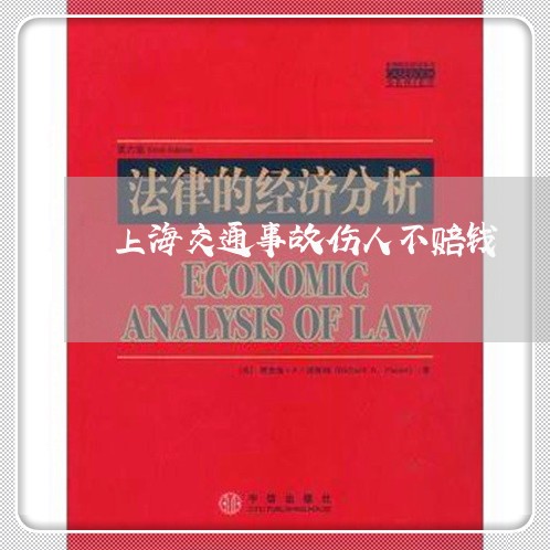 上海交通事故伤人不赔钱/2023042230470