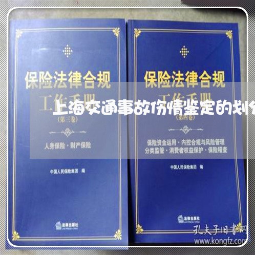 上海交通事故伤情鉴定的划分/2023040175029 上海交通事故伤情鉴定的划分/2023040175029