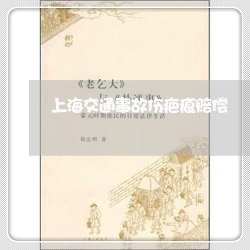 上海交通事故伤疤痕赔偿/2023030141584 上海交通事故伤疤痕赔偿/2023030141584