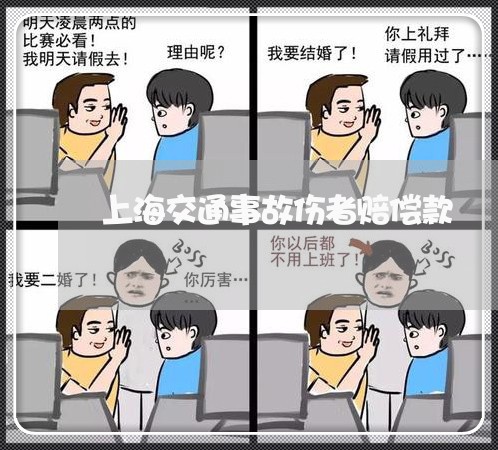 上海交通事故伤者赔偿款/2023030129268