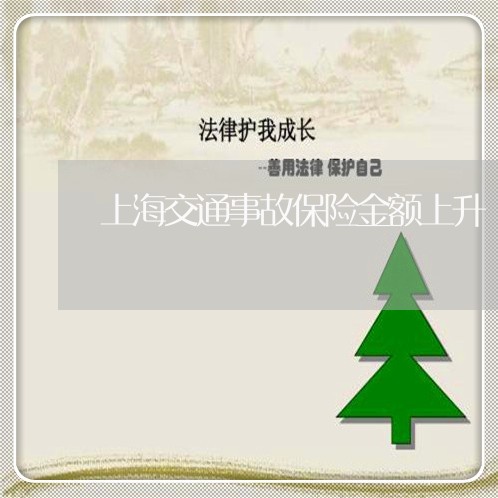上海交通事故保险金额上升/2023031928160